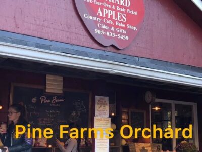 مزرعهی سیب در کینگ سیتی تورنتو کانادا