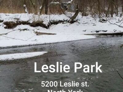 پارک لزلی در تورنتو کانادا