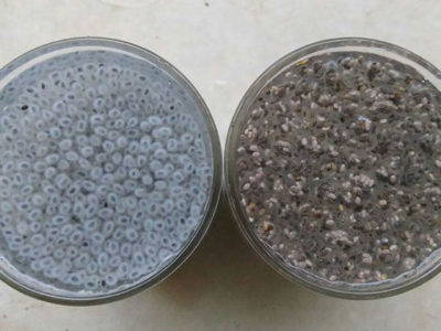 تخم شربتی چیا سید