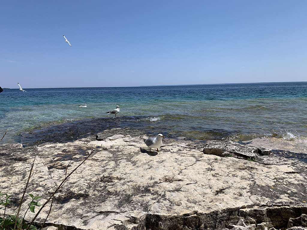 جزیرهی فلاورپات در استان آنتاریو کانادا