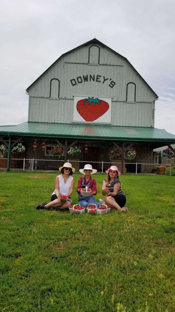 مزرعهی تمشک در تورنتو کانادا