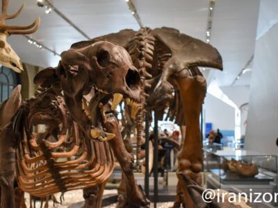 موزه رویال آنتاریو کانادا