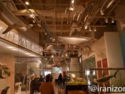 موزه سلطنتی آنتاریو