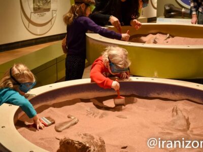 موزه رویال آنتاریو کانادا