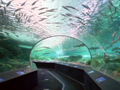 Ripley's Aquarium of Canada