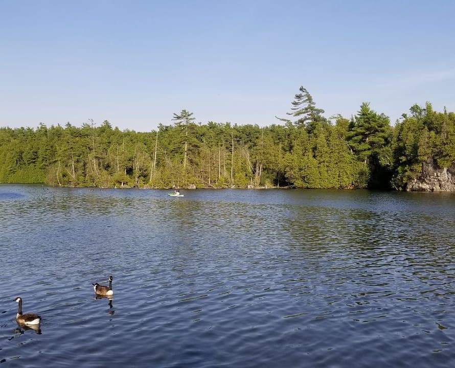 ساحل حفاظت شدهی راکوود در کانادا