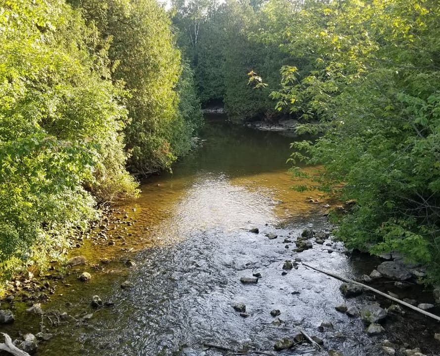 ساحل حفاظت شدهی راکوود در کانادا