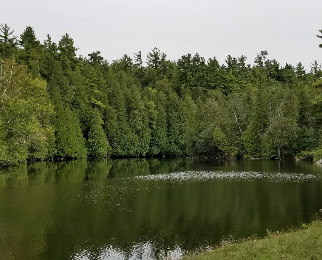 ساحل حفاظت شدهی راکوود در کانادا